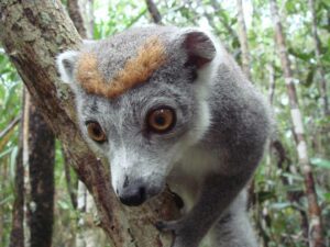 Voyage Madagascar