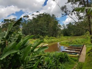 Voyage Madagascar