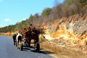 Voyage Madagascar