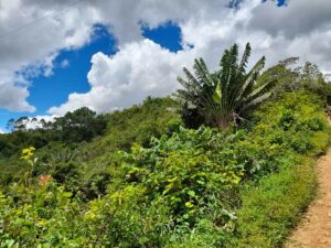 Voyage Madagascar