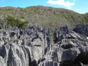 voyage Madagascar